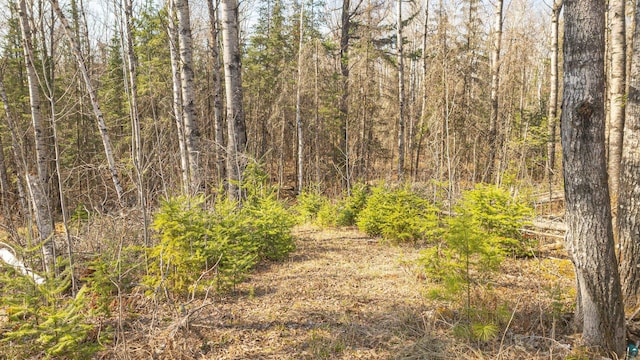 740 Halfway Rd, Ely, MN 55731
