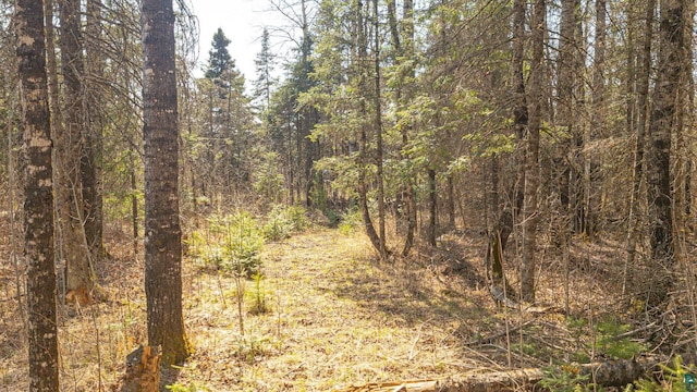 740 Halfway Rd, Ely, MN 55731