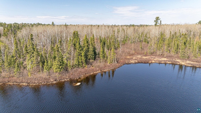 740 Halfway Rd, Ely, MN 55731