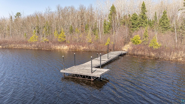 740 Halfway Rd, Ely, MN 55731