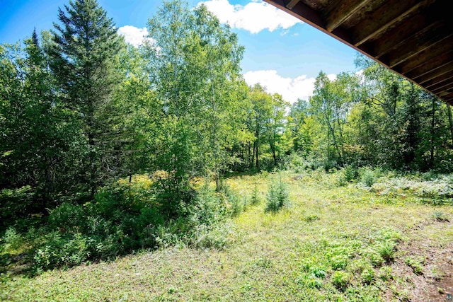 1808 Tom Lake Rd, Hovland, MN 55606 - view of tree filled area