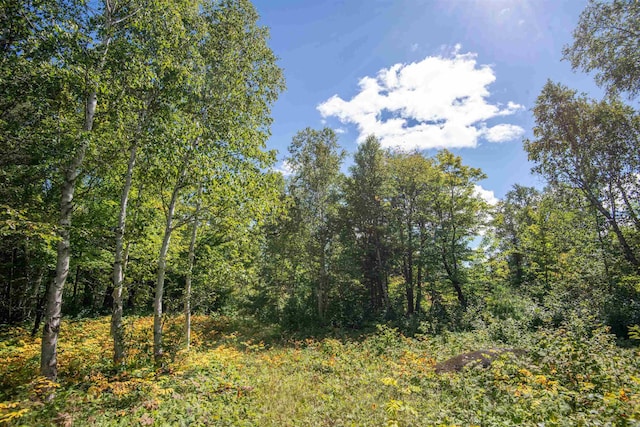 1808 Tom Lake Rd, Hovland, MN 55606 - view of tree filled area