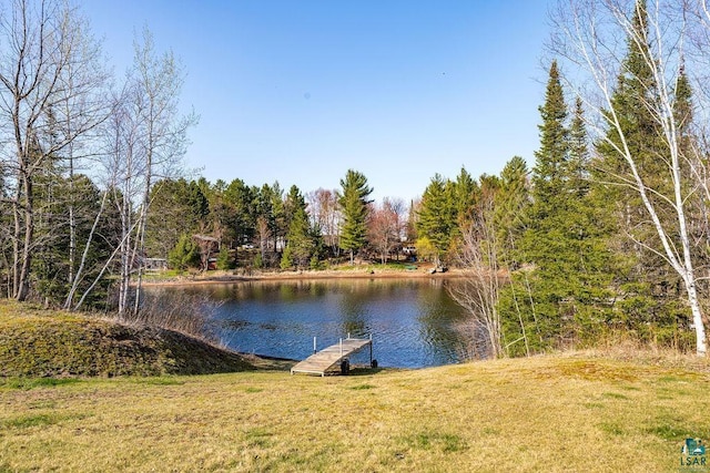 7070 Rice Lake Rd, Duluth, MN 55803 - water view featuring a boat dock