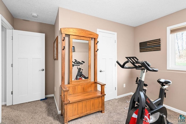 exercise room featuring baseboards, a textured ceiling, and carpet floors