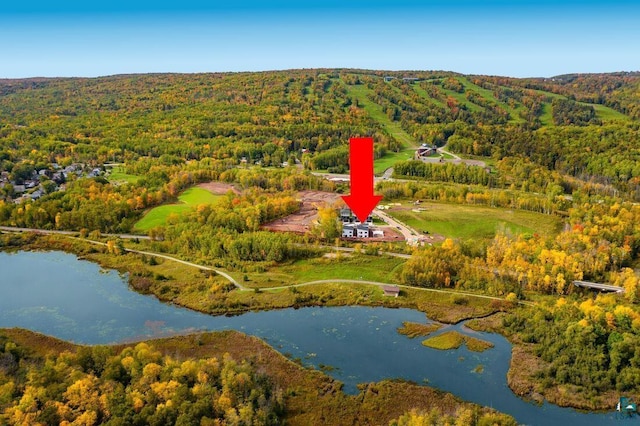 aerial view of a heavily wooded area and a nearby body of water