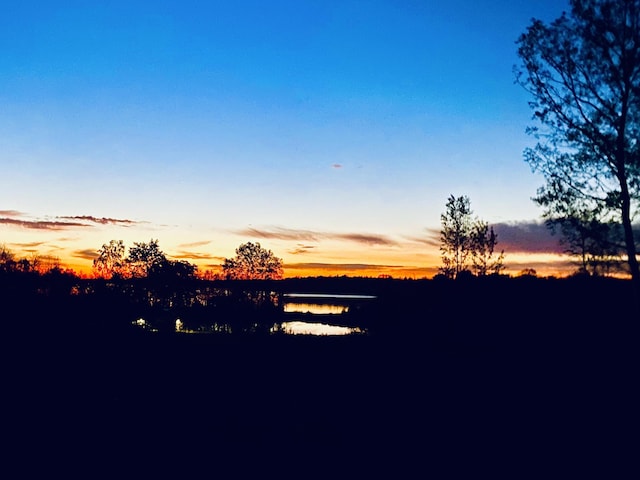 view of nature