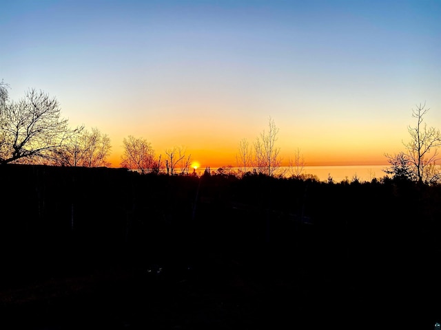 view of nature at dusk