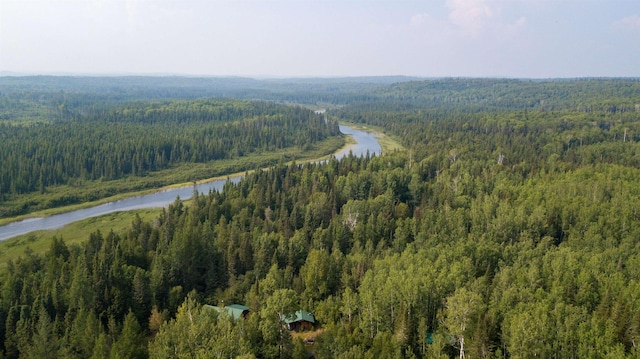 489 Brule Valley Trl, Hovland, MN 55606 - bird's eye view of a forest and a nearby body of water