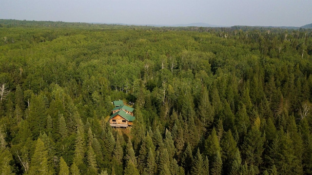 489 Brule Valley Trl, Hovland, MN 55606 - view of subject property featuring a forest