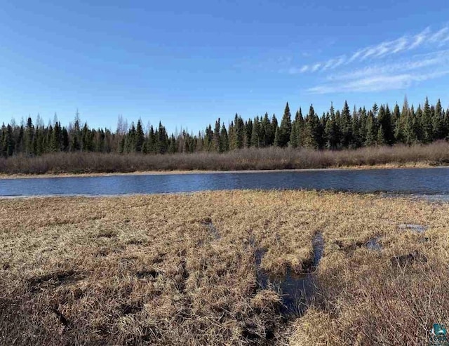489 Brule Valley Trl, Hovland, MN 55606 - water view with a forest