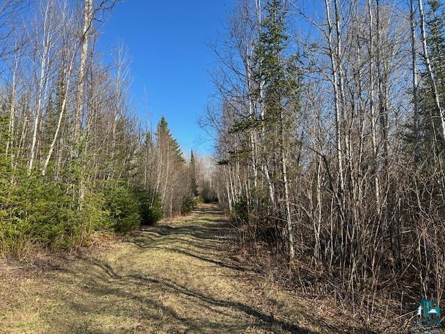 489 Brule Valley Trl, Hovland, MN 55606 - view of woods