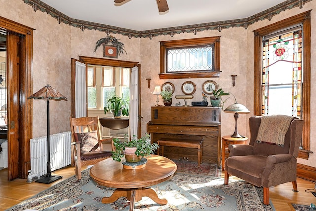 living area featuring radiator, light wood-style floors, healthy amount of natural light, and a ceiling fan