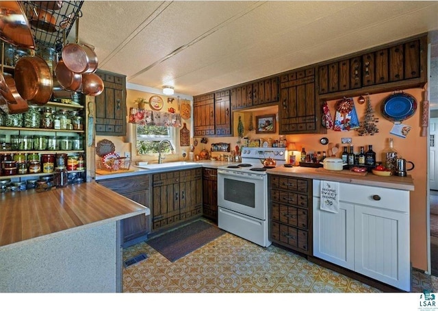 7262 Palo Tia Rd, Embarrass, MN 55732 - kitchen with a sink, electric range, a textured ceiling, and butcher block countertops