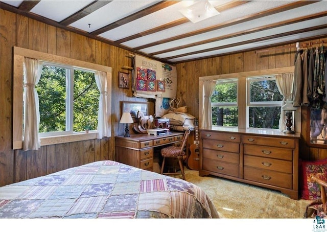 7262 Palo Tia Rd, Embarrass, MN 55732 - bedroom with wooden walls and carpet floors
