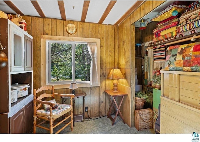 7262 Palo Tia Rd, Embarrass, MN 55732 - living area with wooden walls and carpet flooring