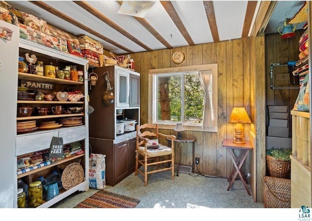7262 Palo Tia Rd, Embarrass, MN 55732 - view of pantry