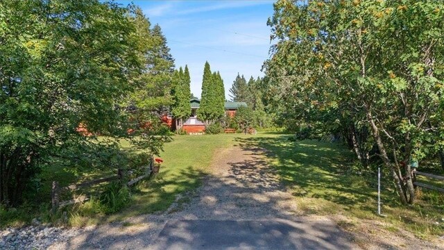 7262 Palo Tia Rd, Embarrass, MN 55732 - view of yard