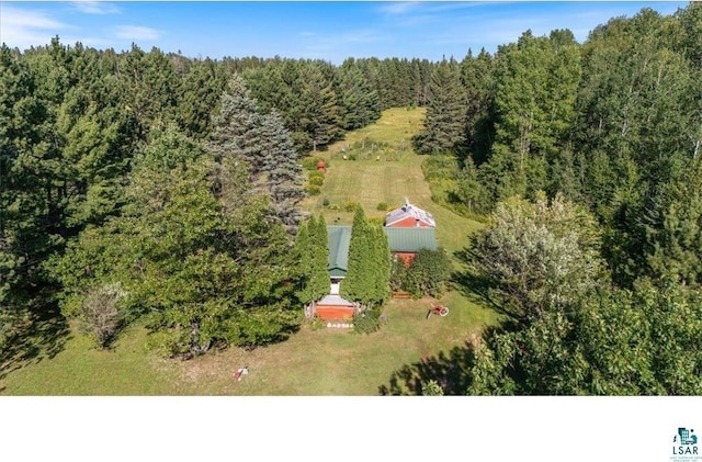 7262 Palo Tia Rd, Embarrass, MN 55732 - bird's eye view of a heavily wooded area