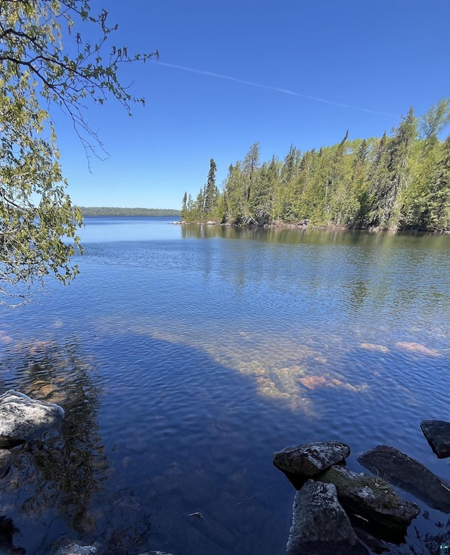 73 Tofte Cabin Trl, Grand Marais, MN 55604