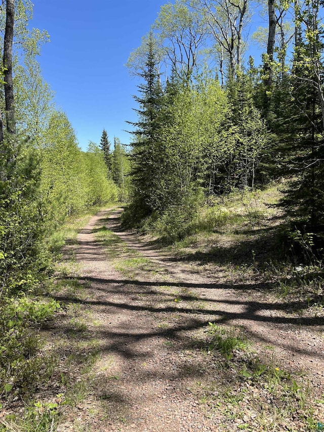 73 Tofte Cabin Trl, Grand Marais, MN 55604