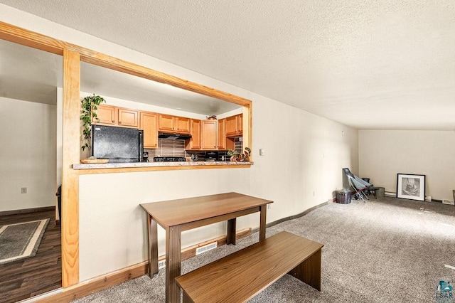 additional living space featuring baseboards, carpet, and a textured ceiling