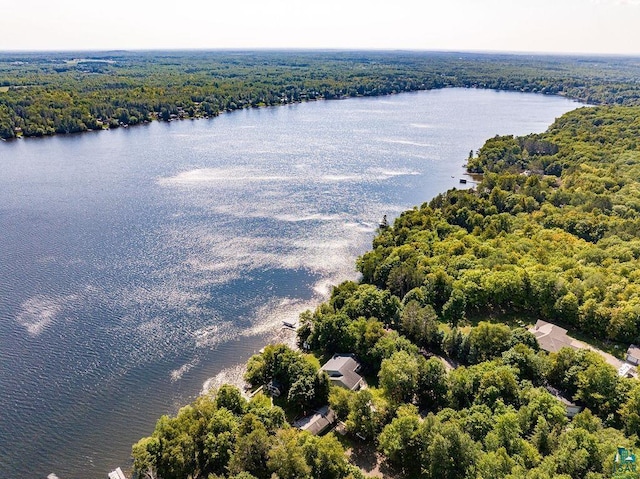 aerial view of a heavily wooded area and a nearby body of water
