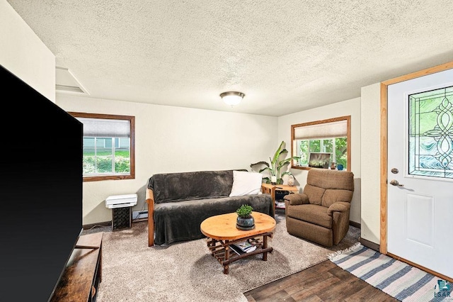 living area featuring plenty of natural light, a textured ceiling, wood finished floors, baseboards, and a baseboard radiator