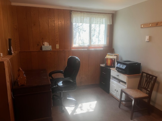 5346 Lester River Rd, Duluth, MN 55804 - office with wood walls
