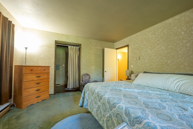 8 Juntunen Rd, Esko, MN 55733 - bedroom with carpet floors, a closet, a baseboard heating unit, and wallpapered walls