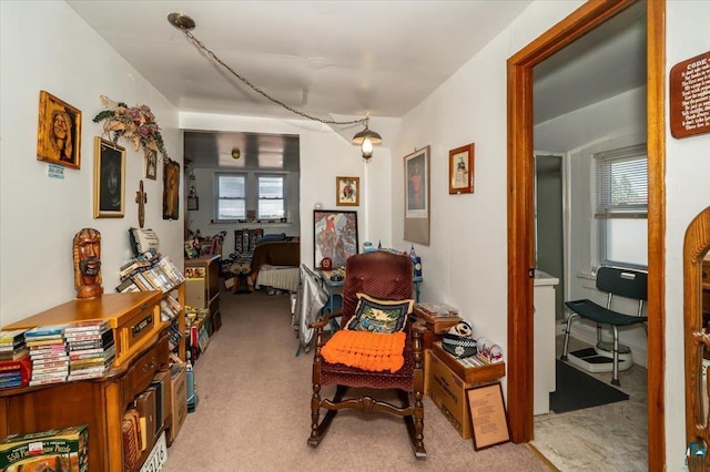 304 Carlton Ave, Cloquet, MN 55720 - sitting room with plenty of natural light and carpet
