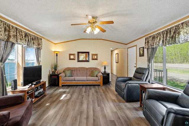 10412 Lakeside Dr, Finlayson, MN 55735 - living area featuring ceiling fan, wood finished floors, ornamental molding, vaulted ceiling, and a textured ceiling