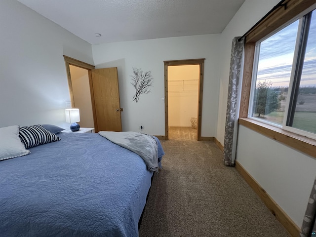7789 Jokela Rd, Cloquet, MN 55720 - carpeted bedroom featuring a walk in closet and baseboards