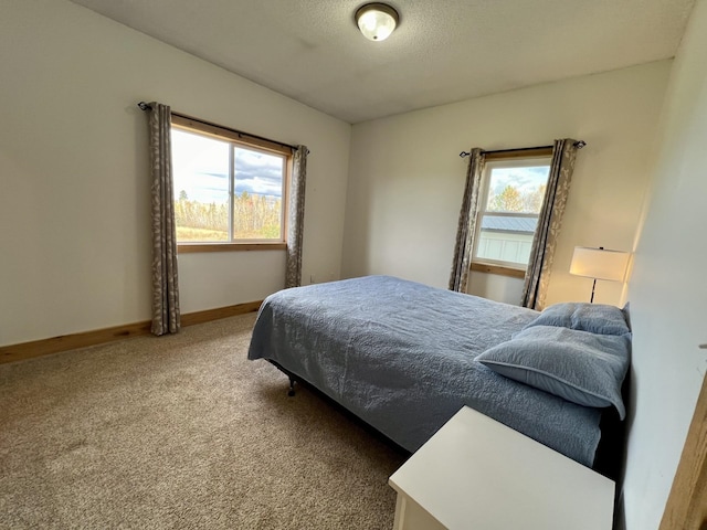 7789 Jokela Rd, Cloquet, MN 55720 - bedroom featuring carpet flooring, multiple windows, and baseboards