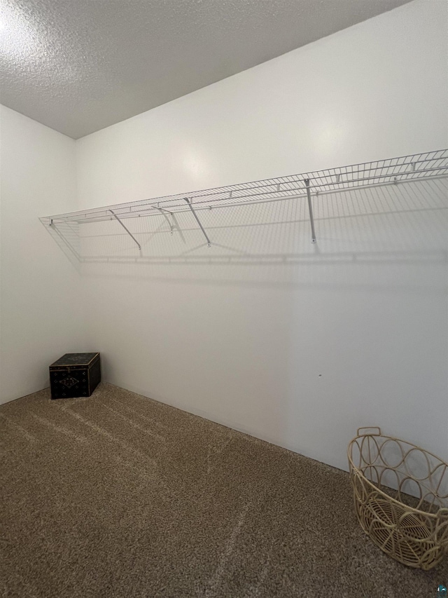 7789 Jokela Rd, Cloquet, MN 55720 - spacious closet with carpet flooring