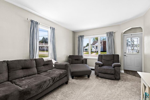 426 22nd St, Cloquet, MN 55720 - carpeted living area featuring healthy amount of natural light and baseboards