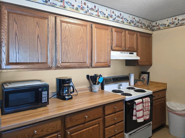 256 Middle Rd Unit 204, Lapointe, WI 54850 - kitchen with electric range oven, under cabinet range hood, black microwave, light countertops, and brown cabinets