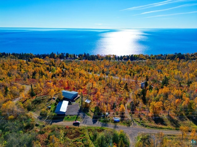 10173 Little Marais Trl, Silver Bay, MN 55614 - aerial view of property and surrounding area featuring a heavily wooded area and a large body of water