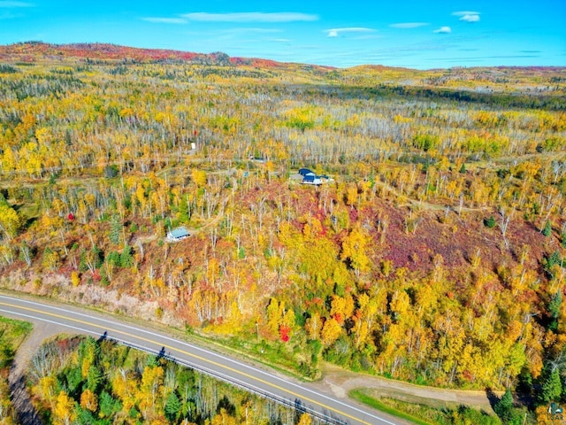 10173 Little Marais Trl, Silver Bay, MN 55614 - aerial view of property's location featuring a forest