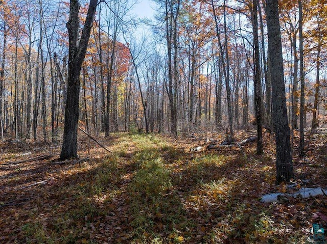 3790 N Shore Rd, Lapointe, WI 54850