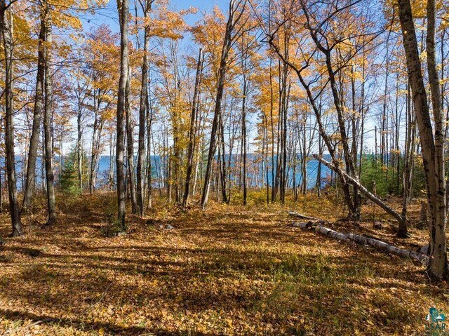 3790 N Shore Rd, Lapointe, WI 54850