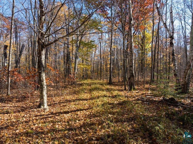 3790 N Shore Rd, Lapointe, WI 54850