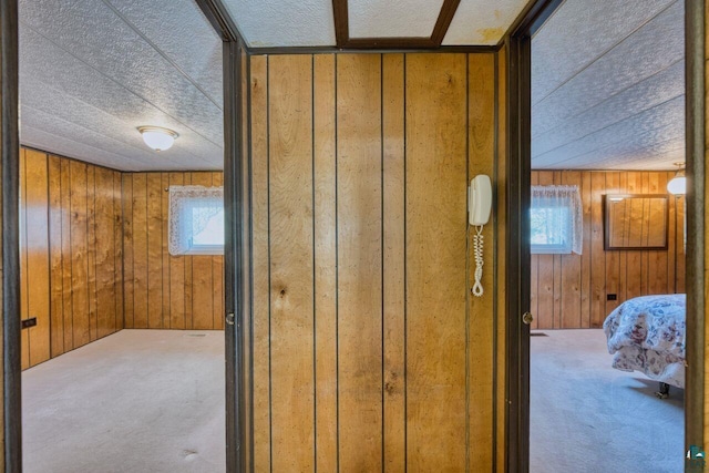 4538 Bass Lake Rd, Gilbert, MN 55741 - hall with carpet, wood walls, and healthy amount of natural light
