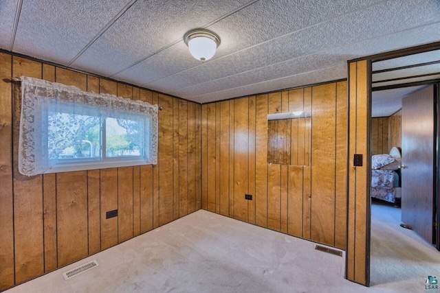 4538 Bass Lake Rd, Gilbert, MN 55741 - spare room with wooden walls and carpet