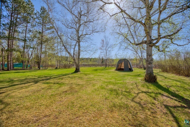 4538 Bass Lake Rd, Gilbert, MN 55741 - view of green lawn