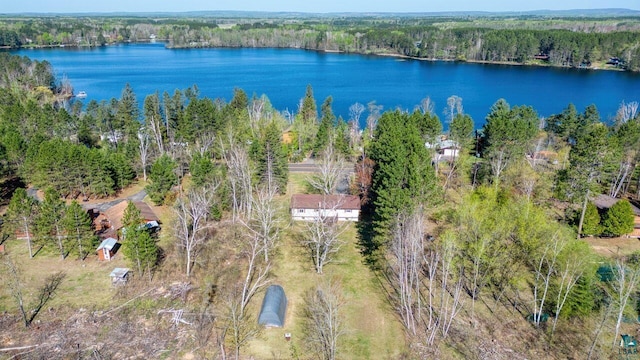 4538 Bass Lake Rd, Gilbert, MN 55741 - view of property location featuring a heavily wooded area and a nearby body of water
