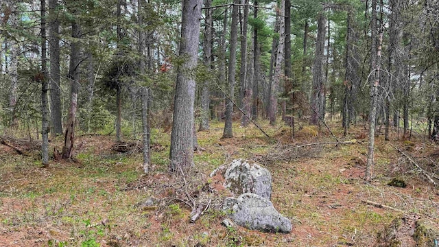 25 Maki Rd, Esko, MN 55733 - view of tree filled area