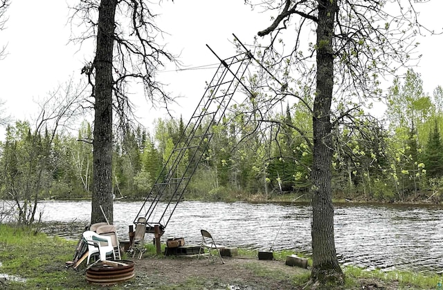 1529 Riddell Rd, Cook, MN 55723 - water view featuring a forest