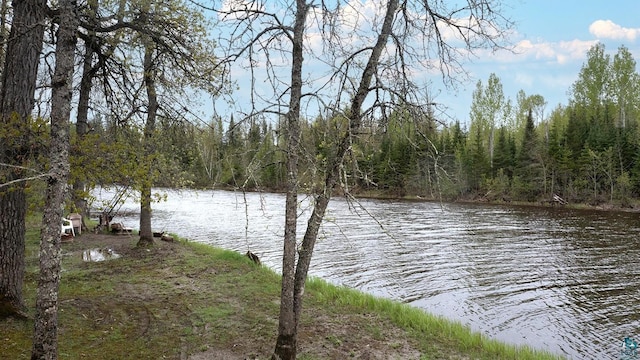 1529 Riddell Rd, Cook, MN 55723 - water view featuring a forest
