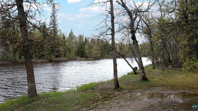 1529 Riddell Rd, Cook, MN 55723 - water view featuring a forest