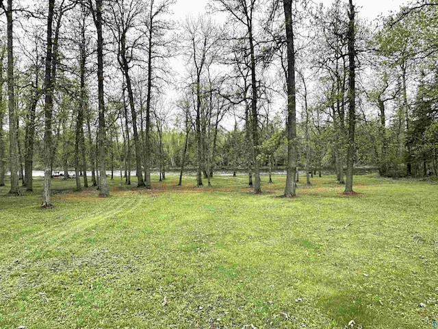 1529 Riddell Rd, Cook, MN 55723 - view of grassy yard